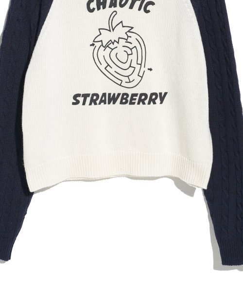HIGH SCHOOL DISCO（ハイスクールディスコ）の「CHAOTIC STRAWBERRY KNIT_NAVY（ニット/セーター・レディース・その他・FREE）」の4枚目の写真