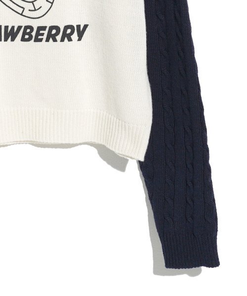 HIGH SCHOOL DISCO（ハイスクールディスコ）の「CHAOTIC STRAWBERRY KNIT_NAVY（ニット/セーター・レディース・その他・FREE）」の5枚目の写真