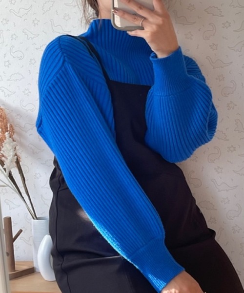 frames RAY CASSIN（フレームスレイカズン）の「ボトルネックボリュームスリーブリブプルオーバー（ニット/セーター・レディース・ブラック/オフホワイト/イエロー/ブルー/グリーン/ラベンダー/ライトピンク/ワイン/グレイッシュベージュ/イエロー×グリーン/ブラック系・FREE）」の6枚目の写真