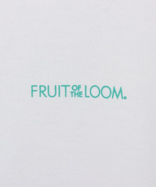 FRUIT OF THE LOOM(フルーツオブザルーム)の「プリントフーディ22(パーカー・メンズ・ブルー/グリーン/レッド/ブラック・M/L/XL)」の5枚目の写真