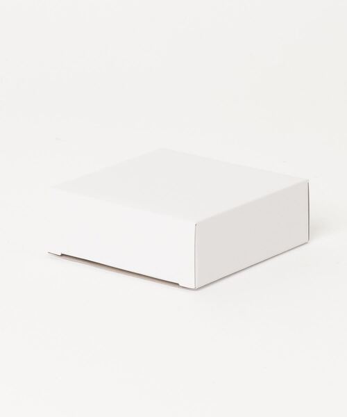 SKAGEN(スカーゲン)の「スカーゲン アクセサリー レディース ピアス ブラック SKJ1852040(イヤリング・レディース・Silver・FREE)」の5枚目の写真