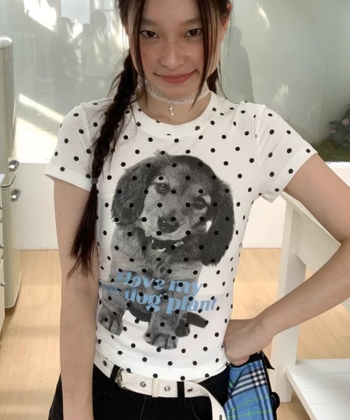 DIAVEL(ディアベル)の「26ss ドット柄プリントコンパクト半袖Tシャツ(Tシャツ/カットソー・レディース・グリーン/グレー・M)」の5枚目の写真