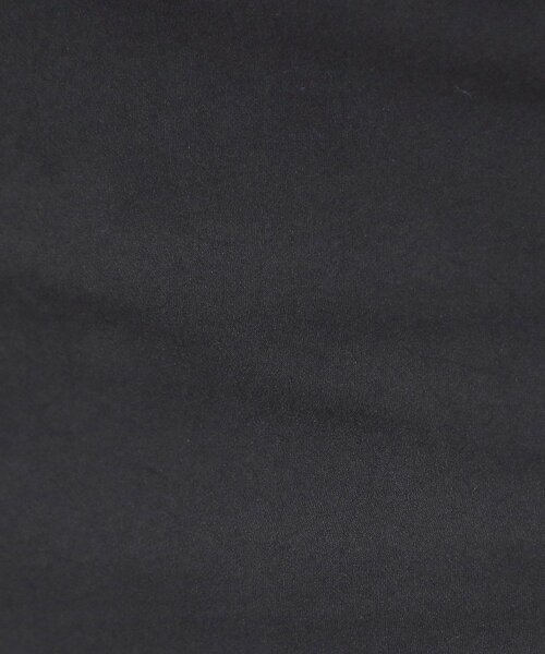 DRESSTERIOR（ドレステリア）の「【洗える/ポケット付き】ストレッチナロースカート（スカート・レディース・ブラック/ナチュラル・38/36/34/40）」の9枚目の写真