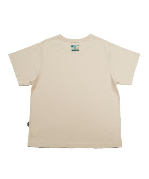 DOD（ディーオーディー）の「ディーオーディー  アウトドアカジュアル 半袖Ｔシャツ（Tシャツ/カットソー・メンズ・ブルー/ホワイト・XL/L/M）」の10枚目の写真