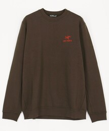 ARC'TERYX(A[NeNX)ARC'TERYX/A[NeNX Emblem Fleece Crew M(XEFbg)