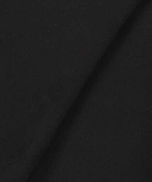 ARC'TERYX（アークテリクス）の「ARC'TERYX/アークテリクス Emblem Fleece Crew M（スウェット・メンズ・インディゴブルー/ブラウン/ブラック・SMALL/MEDIUM/LARGE/X-LARGE）」の11枚目の写真