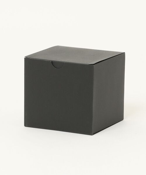 EMPORIO ARMANI(エンポリオアルマーニ)の「エンポリオ・アルマーニ 腕時計 レディース アナログ ステンレス AR11742(アナログ腕時計・レディース・シルバー・FREE)」の2枚目の写真