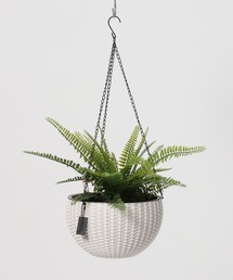 LAKOLE(���R��)�݂̒艺���|�b�g / 654321(�t�����[�x�[�X)