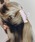 GOLDY�i�S�[���f�B�j�́u�X���[�N �X�N�G�A �o���X �N���b�v�i�o���b�^/�w�A�N���b�v�j�v�b�s���N