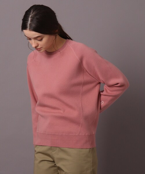 美品＊ドレステリアDRESSTERIORウール100%クルーニット　ピンク DRESSTERIOR（ドレステリア）の「◇【InRed4月号掲載】ウォッシャブル