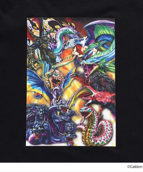 SHOO・LA・RUE(シューラルー)の「◆【最強王図鑑×SHOO・LA・RUE】袖プリントロンT(Tシャツ/カットソー・キッズ・グレー/オフホワイト/ブラック・14/12/13/11)」の12枚目の写真