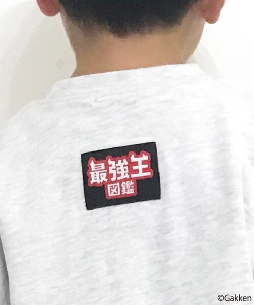 SHOO・LA・RUE(シューラルー)の「◆【最強王図鑑×SHOO・LA・RUE】袖プリントロンT(Tシャツ/カットソー・キッズ・グレー/オフホワイト/ブラック・14/12/13/11)」の21枚目の写真