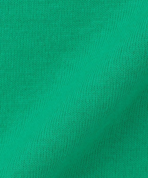 XLARGE KIDS（エクストララージキッズ）の「恐竜モチーフ半袖Tシャツ（Tシャツ/カットソー・キッズ・グリーン/ホワイト/ブラック/ブルー・120cm/110cm/130cm/140cm/80ｃｍ/90cm/100cm）」の10枚目の写真