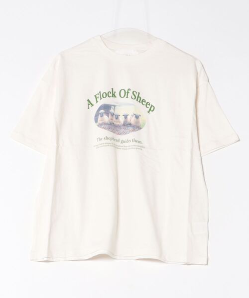 MNML スネーク 747 プリント Tシャツ 送料/関税込 楽天市場】【まとめ割 対象】COBMASTER コブマスター レディース
