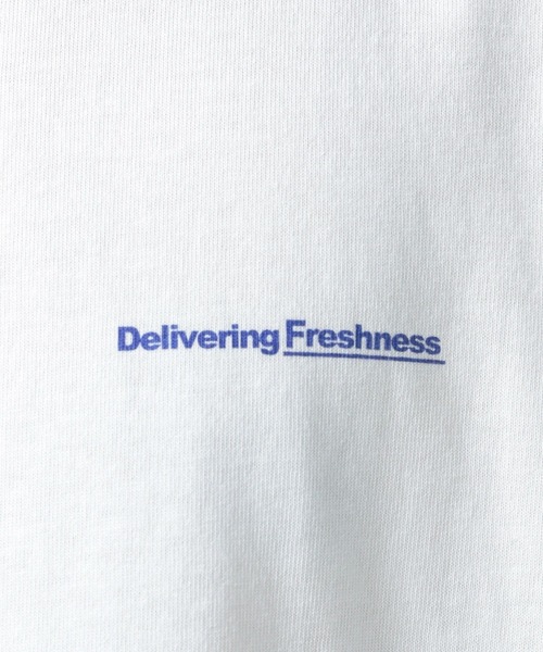 BAYFLOW(ベイフロー)の「FRUITS半袖Tシャツ(Tシャツ/カットソー・メンズ・オフホワイト/チャコールグレー/ブラウン/ピンク・MEDIUM/LARGE)」の16枚目の写真