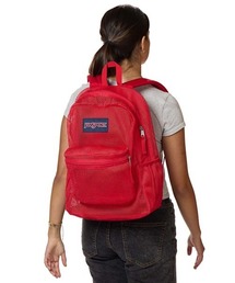 JANSPORT ECO MESH PACK（ジャンスポーツ エコメッシュパック）