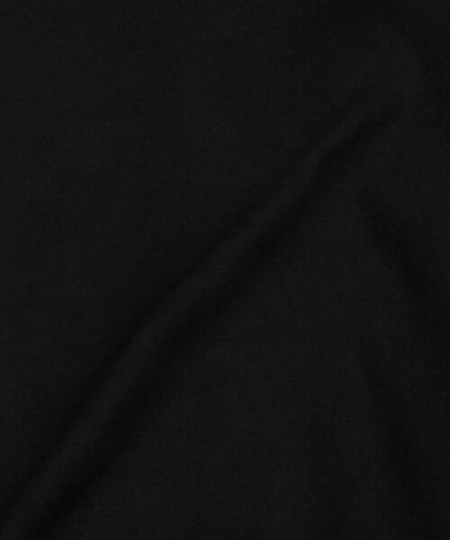 ARC'TERYX（アークテリクス）の「ARC'TERYX/アークテリクス Emblem Fleece Hoody M（パーカー・メンズ・ブラック/ブラウン・SMALL/X-LARGE/MEDIUM/LARGE）」の13枚目の写真