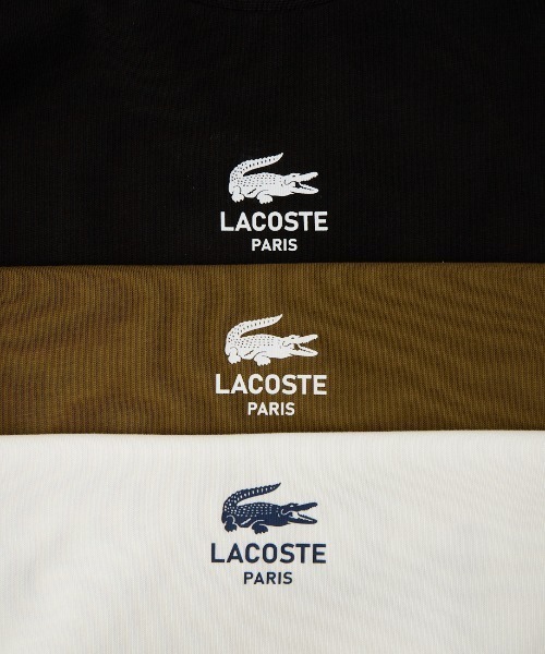 LACOSTE（ラコステ）の「[LACOSTE/ラコステ] バックプリント ヘビーオンスTシャツ（Tシャツ/カットソー・レディース・ブラウン/ブラック/ホワイト・2/5/4/3）」の17枚目の写真
