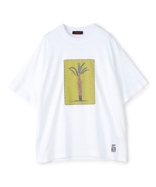 CABaN キャバン　NEW COSTARICA BIRD アート　Tシャツ CABaN スビンコットン BIRDプリントTシャツ | CABaN