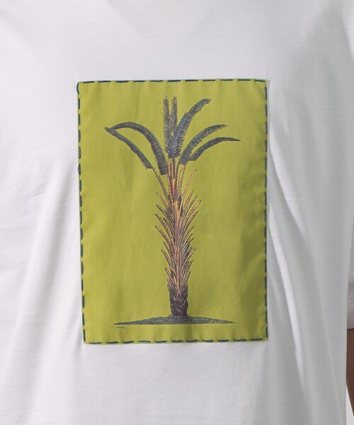 CABaN キャバン　NEW COSTARICA BIRD アート　Tシャツ CABaN スビンコットン BIRDプリントTシャツ | CABaN