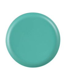 DULTON(_g)M&B SHALLOW PLATE M/M&B V[ v[g M(H)