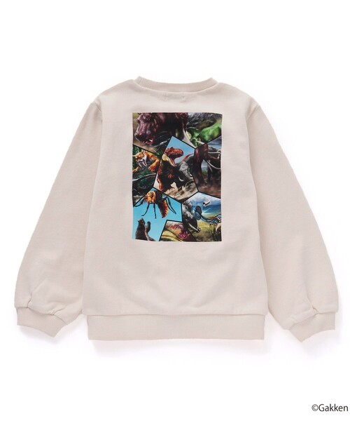 SHOO・LA・RUE(シューラルー)の「◆【最強王図鑑×SHOO・LA・RUE】バックプリントスウェット(スウェット・キッズ・グレー/ライトベージュ/ブラック・13/14/12/11)」の8枚目の写真