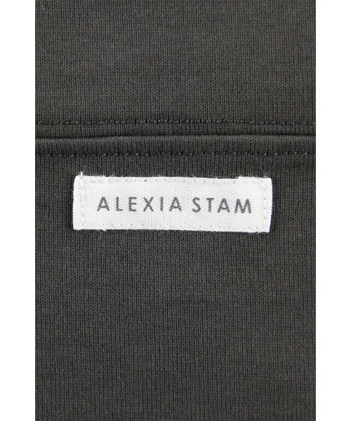 ALEXIA STAM（アリシアスタン）の「Oversized Football Tee /オーバーフットボールTee（Tシャツ/カットソー・レディース・ホワイト/チャコールグレー・FREE）」の14枚目の写真