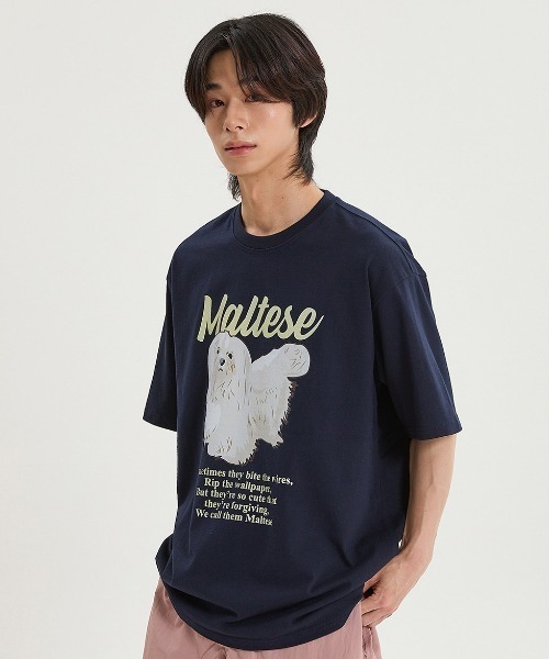 WaiKei(ワイケイ)の「A'GEM/9 × .kom 『WaiKei/ワイケイ』 Maltese illustration half Sleeve T-shirt /マルチーズ イラスト半袖カットソー(Tシャツ/カットソー・レディース・ホワイト/ネイビー/ライトブルー/オフホワイト・M/26(40)/25(38)/24(36))」の4枚目の写真