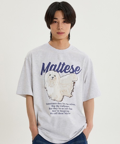 WaiKei(ワイケイ)の「A'GEM/9 × .kom 『WaiKei/ワイケイ』 Maltese illustration half Sleeve T-shirt /マルチーズ イラスト半袖カットソー(Tシャツ/カットソー・レディース・ホワイト/ネイビー/ライトブルー/オフホワイト・M/26(40)/25(38)/24(36))」の3枚目の写真