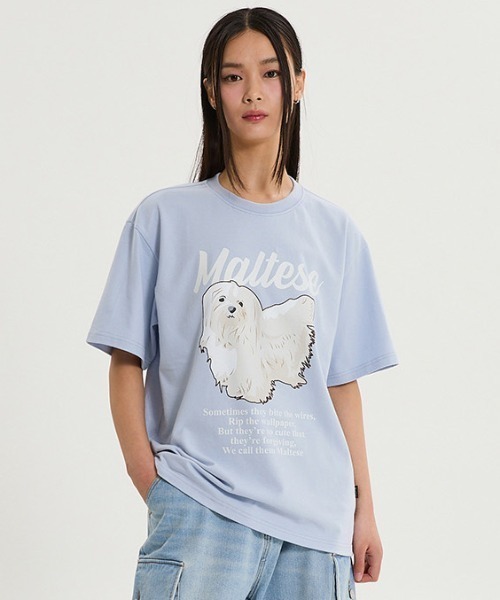 WaiKei(ワイケイ)の「A'GEM/9 × .kom 『WaiKei/ワイケイ』 Maltese illustration half Sleeve T-shirt /マルチーズ イラスト半袖カットソー(Tシャツ/カットソー・レディース・ホワイト/ネイビー/ライトブルー/オフホワイト・M/26(40)/25(38)/24(36))」の1枚目の写真