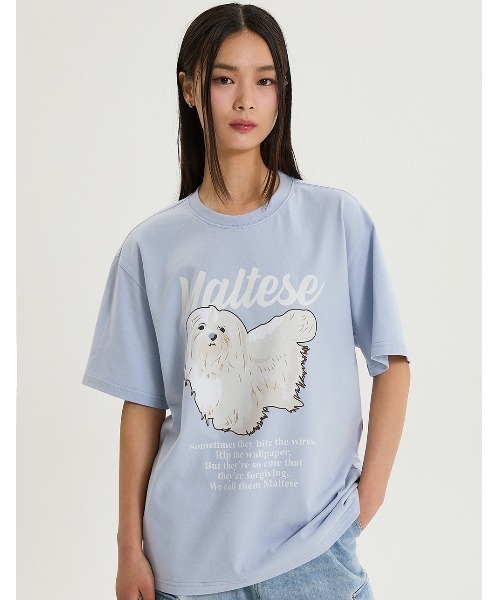 tシャツ A'GEM/9 × .kom 「WaiKei/ワイケイ」 Maltese magazine half sleeve T-shirt/マルチー A'GEM/9 × .kom 『WaiKei/ワイケイ』 Maltese magazine half