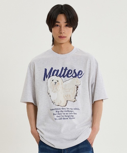 【WAIKEI】マルチーズ刺繍チェックシャツ ４色 WaiKei tシャツ 「UNISEX」Wai Kei／マルチーズイラストT メンズ