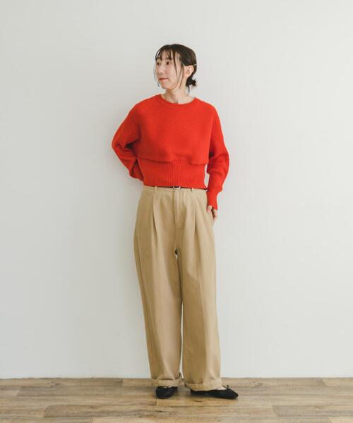 ITEMS URBANRESEARCH(アイテムズ アーバンリサーチ)の「ドルマンリブニットプルオーバー(ニット/セーター・レディース・ブラック/オフホワイト/レッド/ブルー・FREE)」の21枚目の写真