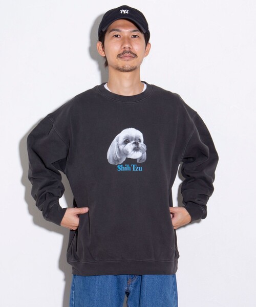 GLOSTER（グロスター）の「【GLOSTER/グロスター】DOG&CAT 犬猫プリント ピグメント クルーネックスウェット（スウェット・メンズ・ブラック系その他3/ブラック系その他4/ブラック系その他6/ブラック系その他/ブラック系その他2/ブラック系その他5・S/M/L）」の20枚目の写真