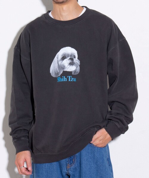 GLOSTER（グロスター）の「【GLOSTER/グロスター】DOG&CAT 犬猫プリント ピグメント クルーネックスウェット（スウェット・メンズ・ブラック系その他3/ブラック系その他4/ブラック系その他6/ブラック系その他/ブラック系その他2/ブラック系その他5・S/M/L）」の14枚目の写真