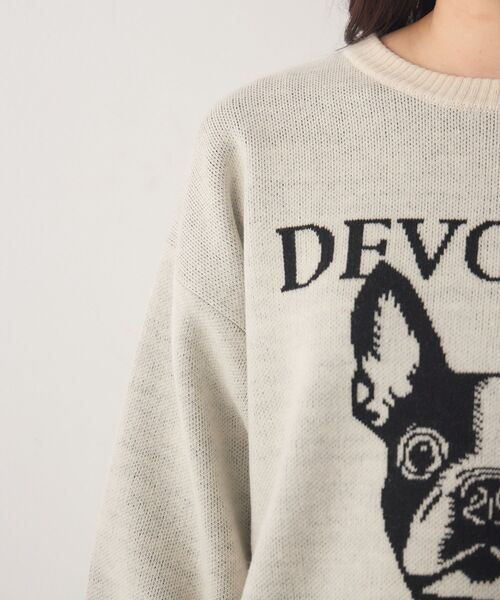 RETRO GIRL（レトロガール）の「アソートモチーフジャガードNT（ニット/セーター・レディース・ライトグレー/ブルー/オフホワイト/ブラウン・FREE）」の16枚目の写真