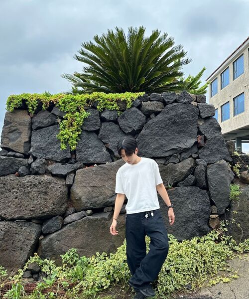 DIVEIN(ダイブイン)の「UNIFORM CROP T-SHIRTS (WHITE)(Tシャツ/カットソー・レディース・その他・0/1/2)」の12枚目の写真
