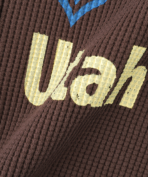 SCREEN STARS(スクリーンスターズ)の「SCREEN STARS別注 ワッフルジップアップフーディー(パーカー・メンズ・ブラウン/アイボリー/ブラック・LARGE/MEDIUM)」の22枚目の写真