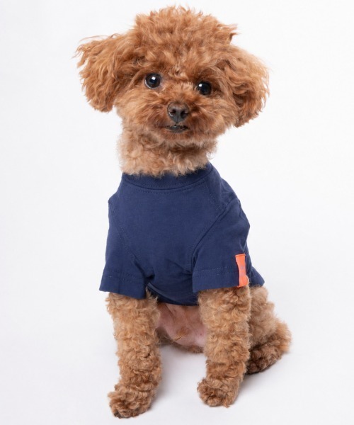BEAMS DESIGN(ビームス デザイン)の「【WEB限定色】 BEAMS DESIGN/スタンダードシャツネイビー小型犬サイズ(ペットウェア・メンズ・ネイビー・3M/2M/3L/2L/L/M/S/XS)」の10枚目の写真