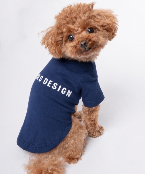 BEAMS DESIGN(ビームス デザイン)の「【WEB限定色】 BEAMS DESIGN/スタンダードシャツネイビー小型犬サイズ(ペットウェア・メンズ・ネイビー・3M/2M/3L/2L/L/M/S/XS)」の11枚目の写真