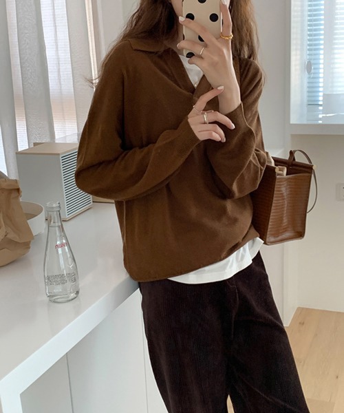 HALEY PESCA(ヘーリーペスカ)の「HALEY PESCA/Vネック ニットポロシャツ(ポロシャツ・レディース・ベージュ/アイボリー/ブラック/ブラウン・FREE)」の4枚目の写真