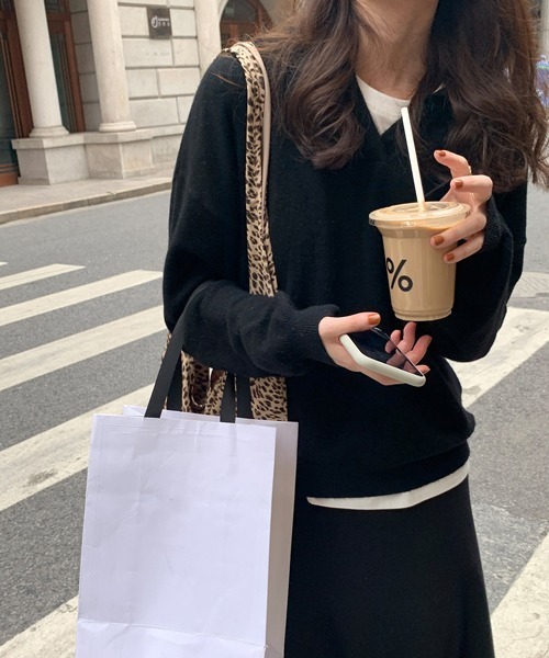 HALEY PESCA(ヘーリーペスカ)の「HALEY PESCA/Vネック ニットポロシャツ(ポロシャツ・レディース・ベージュ/アイボリー/ブラック/ブラウン・FREE)」の5枚目の写真
