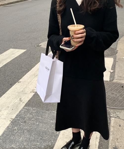 HALEY PESCA(ヘーリーペスカ)の「HALEY PESCA/Vネック ニットポロシャツ(ポロシャツ・レディース・ベージュ/アイボリー/ブラック/ブラウン・FREE)」の6枚目の写真