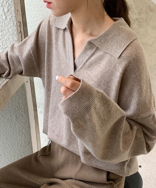 HALEY PESCA(ヘーリーペスカ)の「HALEY PESCA/Vネック ニットポロシャツ(ポロシャツ・レディース・ベージュ/アイボリー/ブラック/ブラウン・FREE)」の15枚目の写真