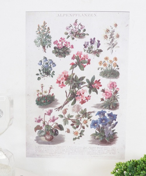 セール リアル風グリーン フラワーポスター ポスター アート Hplt Ai エイチピーエルティードットアイ のファッション通販 Zozotown