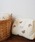 hymyiq~j́uy hymy-q~- z LeBO  ނ|[` / }`|[` ( mama&baby ) #iނpi/ނ|[`jvb̑1