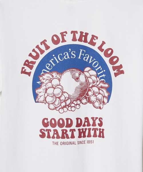 FRUIT OF THE LOOM（フルーツオブザルーム）の「FRUIT OF THE LOOM/フルーツオブザルーム FTL プリントTシャツ31（Tシャツ/カットソー・メンズ・ブルー/レッド/パープル・M/L/XL）」の8枚目の写真