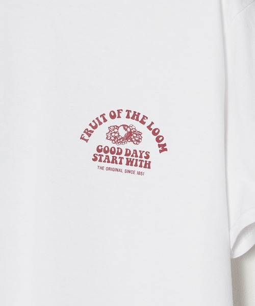 FRUIT OF THE LOOM（フルーツオブザルーム）の「FRUIT OF THE LOOM/フルーツオブザルーム FTL プリントTシャツ31（Tシャツ/カットソー・メンズ・ブルー/レッド/パープル・M/L/XL）」の6枚目の写真