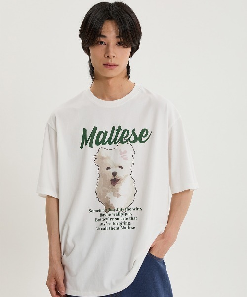 WaiKei（ワイケイ）の「A'GEM/9 × .kom 『WaiKei/ワイケイ』 GOOREUM illustration half Sleeve T-shirt /グリム マルチーズ イラスト半袖カットソー（Tシャツ/カットソー・レディース・ブラック/ホワイト/ネイビー・ｻﾝﾌﾟﾙS/50-52/48㎝）」の2枚目の写真