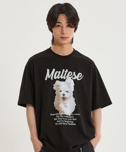 WaiKei（ワイケイ）の「A'GEM/9 × .kom 『WaiKei/ワイケイ』 GOOREUM illustration half Sleeve T-shirt /グリム マルチーズ イラスト半袖カットソー（Tシャツ/カットソー・レディース・ブラック/ホワイト/ネイビー・ｻﾝﾌﾟﾙS/50-52/48㎝）」の3枚目の写真